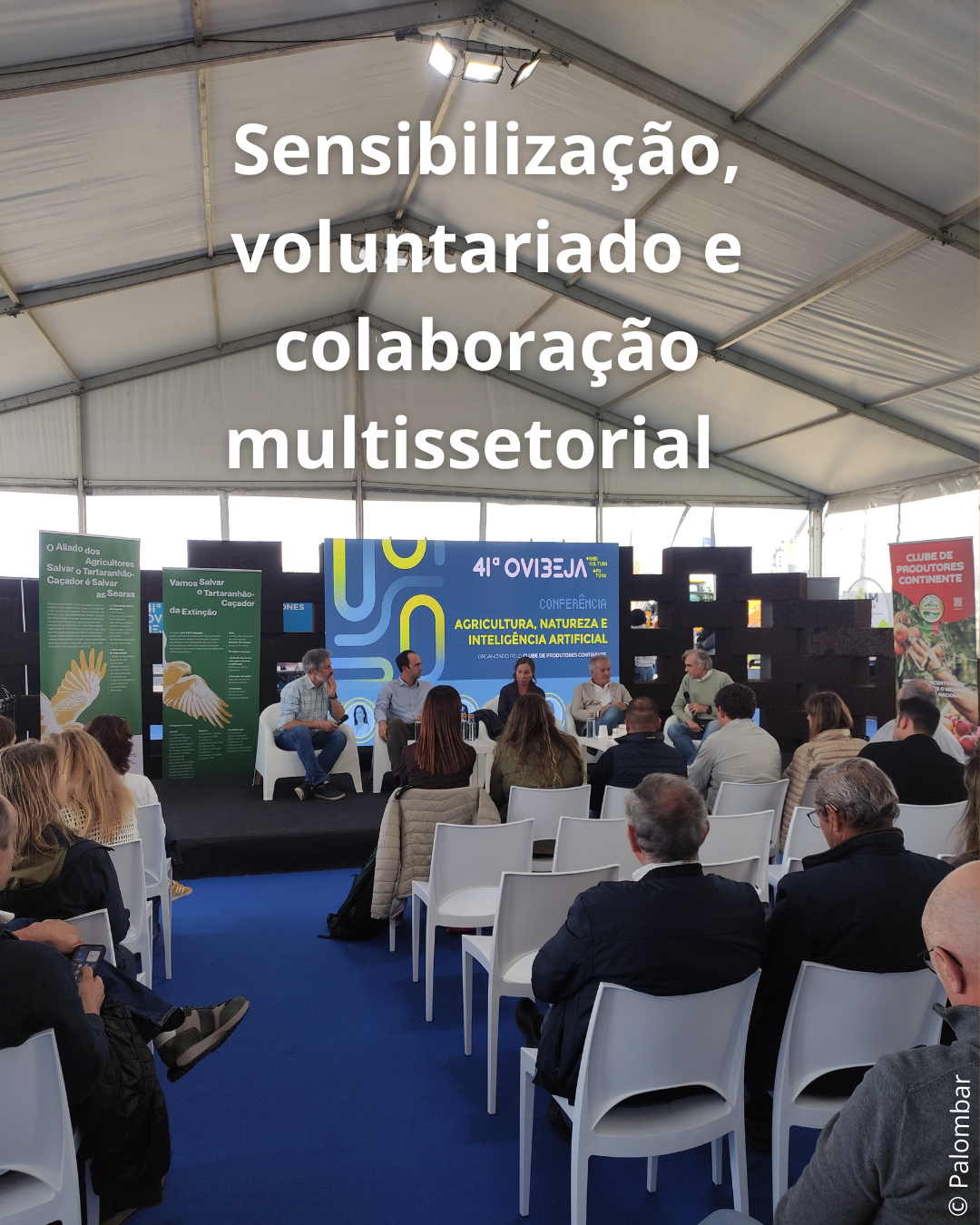 1 CI campanha 2025 suportes RS