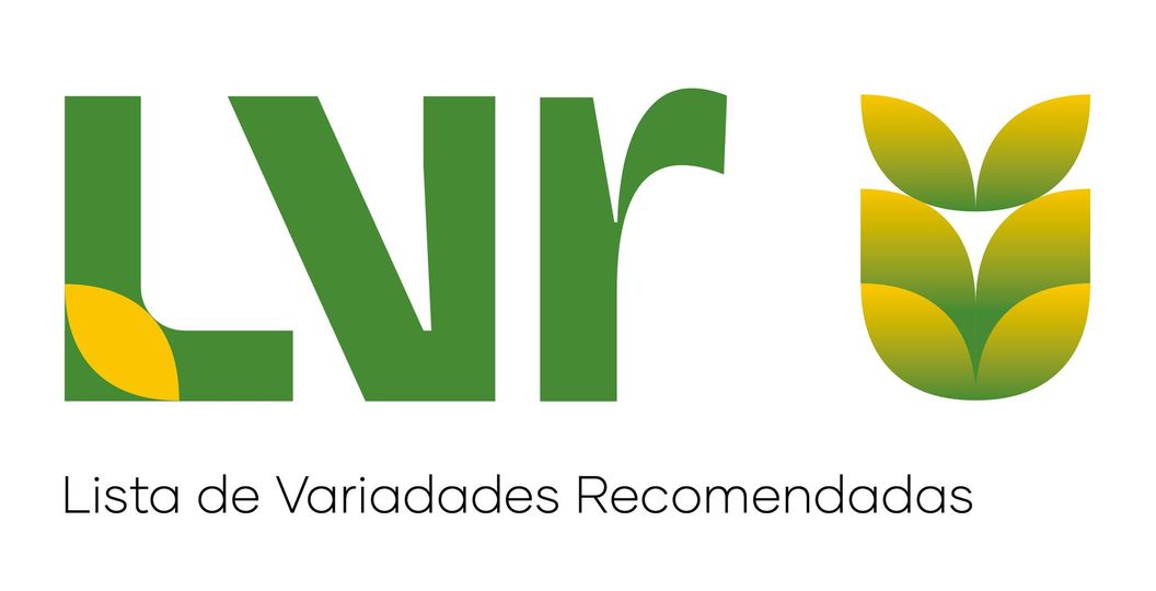 LVR 2022