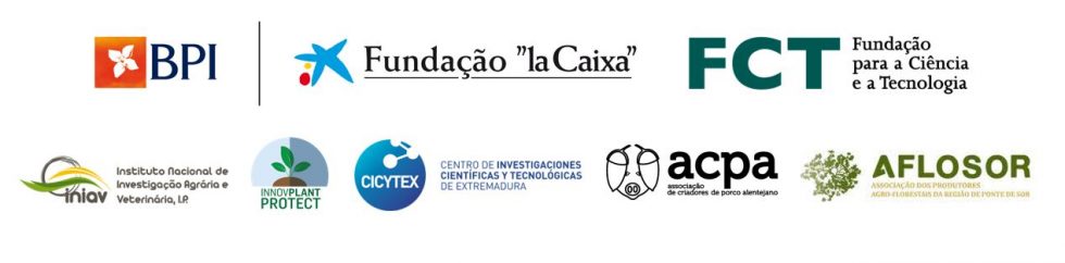 Logos LaCaixa Promove 2020