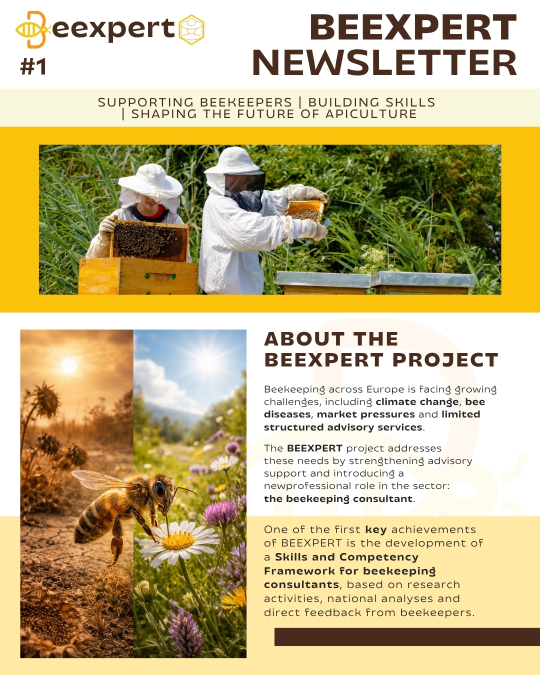 Newsletter do projeto BEEXPERT
