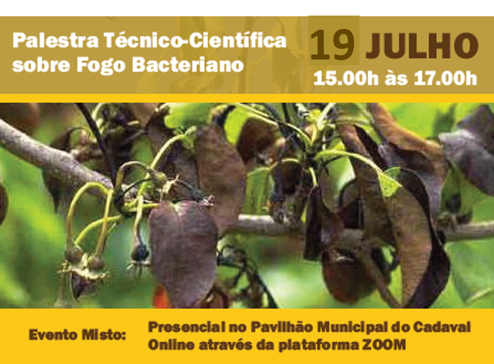 Palestra técnico-científica sobre Fogo Bacteriano (vídeo)