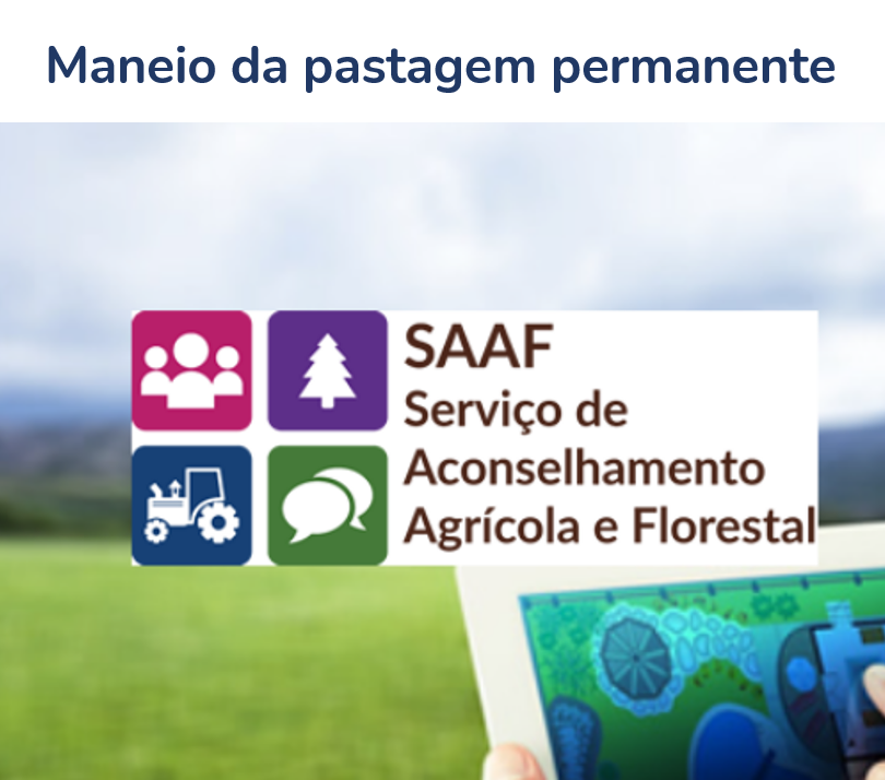 SAAf