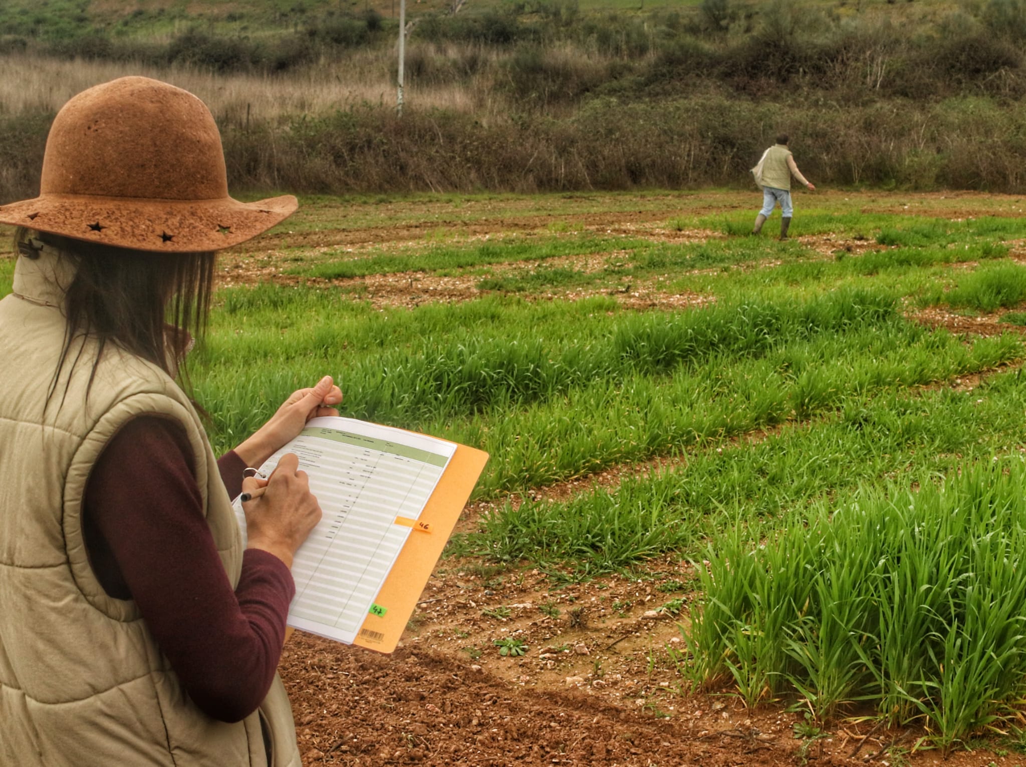Investigadores do INIAV-Elvas acompanham ensaios do projeto SOS PYGARGUS Investigadores do INIAV-Elvas acompanham ensaios do projeto SOS PYGARGUS