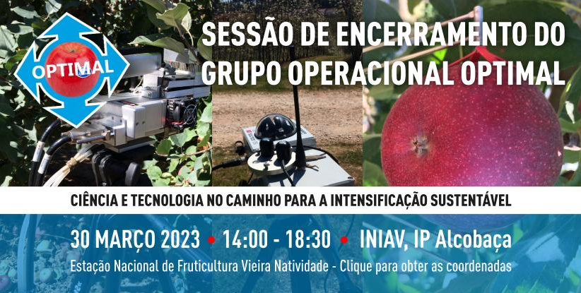 Seminario de encerramento optimal banner