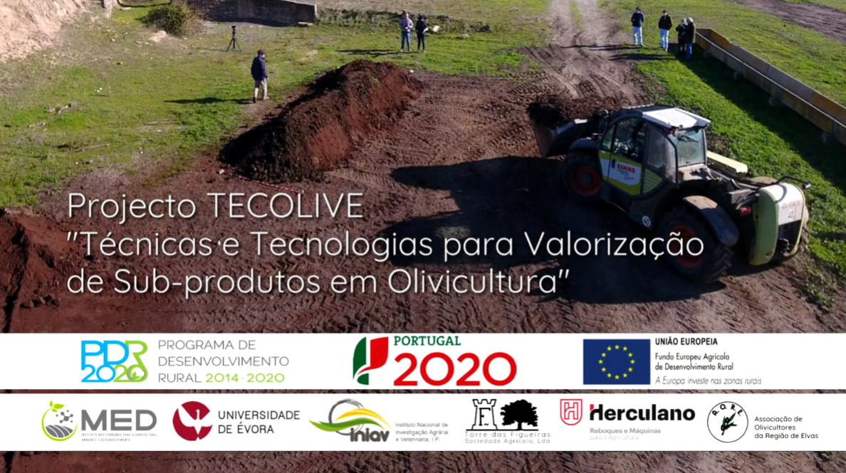 TECOLIVE video