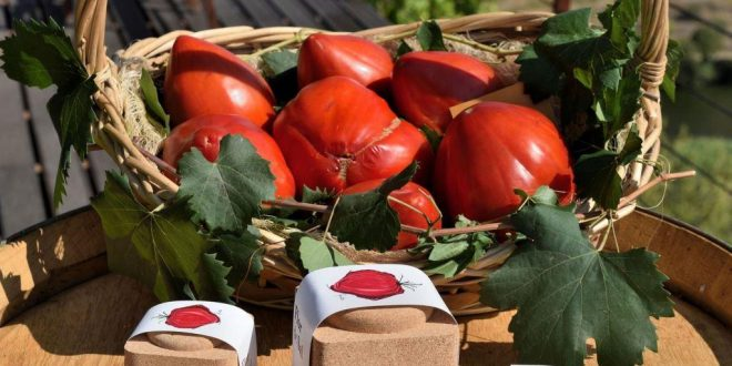 Tomate Coracao de Boi