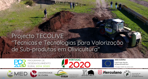 Video TECOLIVE