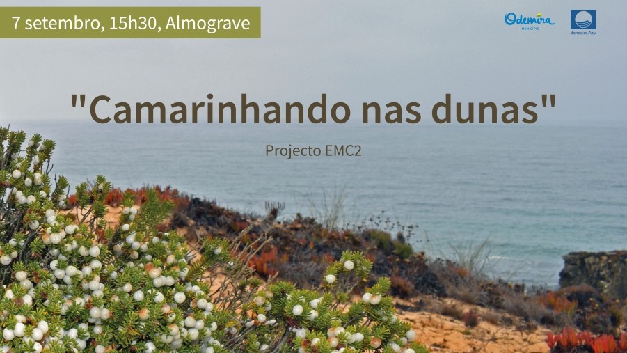 camarinhando nas dunas