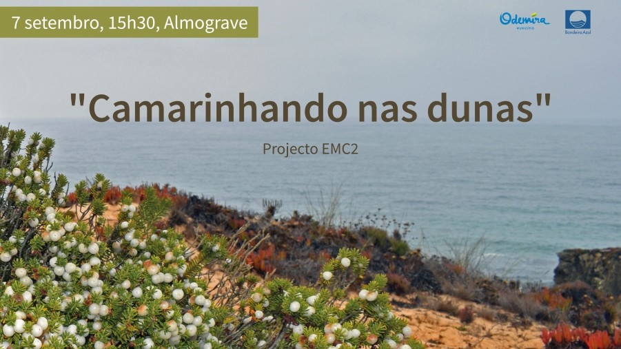 camarinhando nas dunas