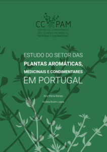 capa EPAM