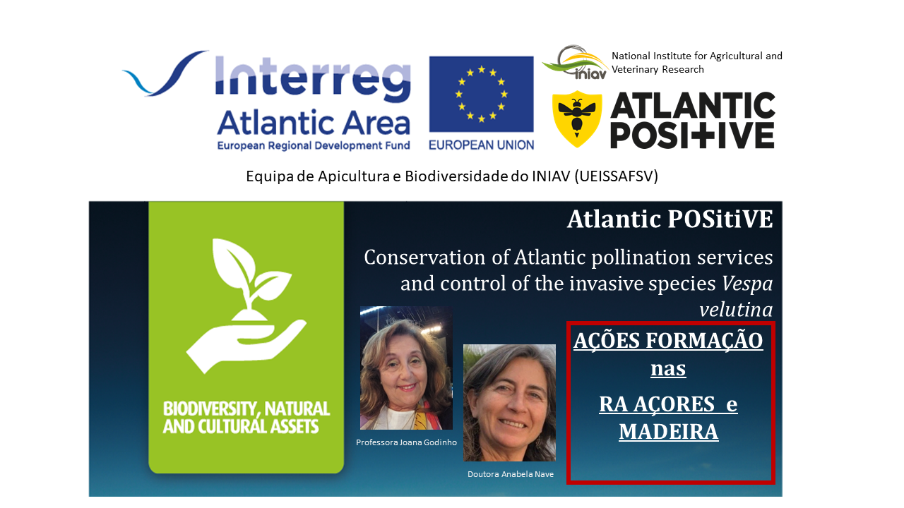 cartaz acores e madeira
