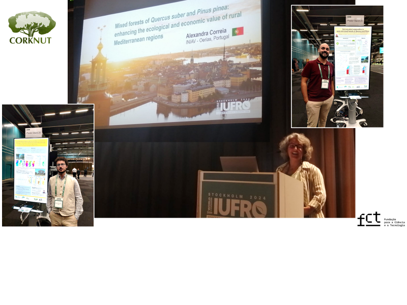 Divulgação do Projecto CORKNUT no congresso mundial da IUFRO 2024