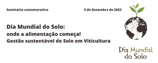 dia mundial solo 2022