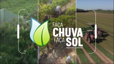 Apresentação do o Núcleo de Conservação da Raças Autóctones de Galinhas no programa "Faça Chuva Faça Sol" da RTP