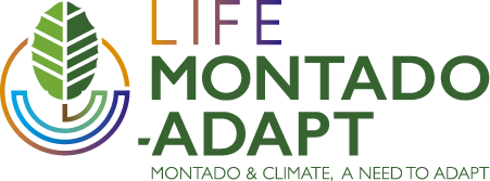 life motado adapt