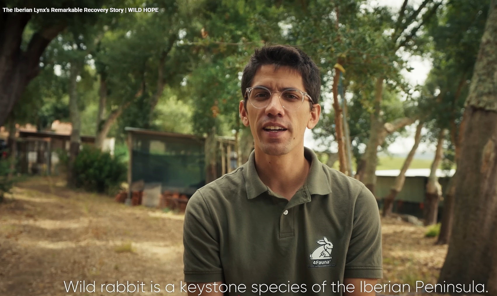 Participação do Investigador Fábio Abade dos Santos do documentário WILDHOPE “The Iberian Lynx’s Remarkable Recovery Story “ Participação do Investigador Fábio Abade dos Santos do documentário WILDHOPE “The Iberian Lynx’s Remarkable Recovery Story “