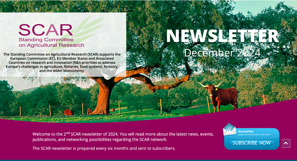 Newsletter SCAR december 2024 Newsletter SCAR december 2024
