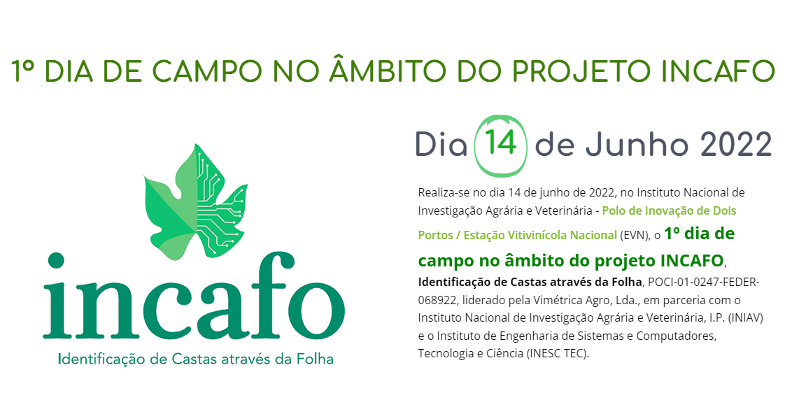 projeto INCAFO