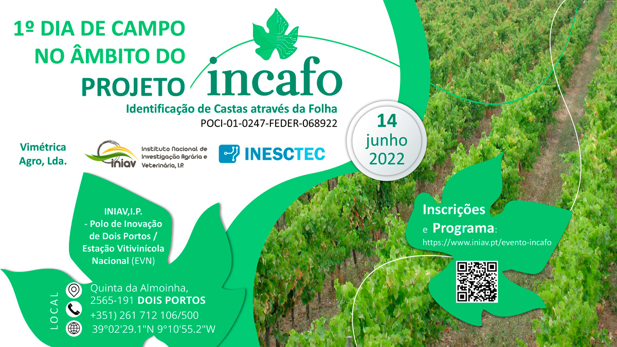 projeto INCAFO