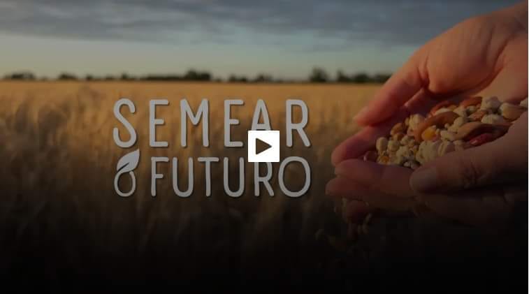 semear o futuro sic