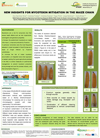 New insights for mycotoxin mitigation in the maize chain