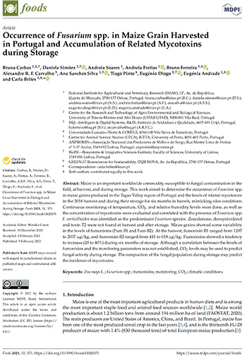 Occurrence of Fusarium spp. in Maize Grain Harvested in Portugal and Accumulation of Related Mycotoxins during Storage