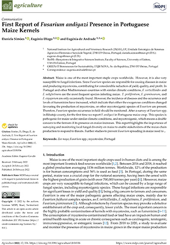 First Report of Fusarium andiyazi Presence in Portuguese Maize Kernels