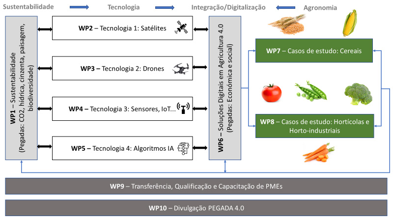 pegada 1