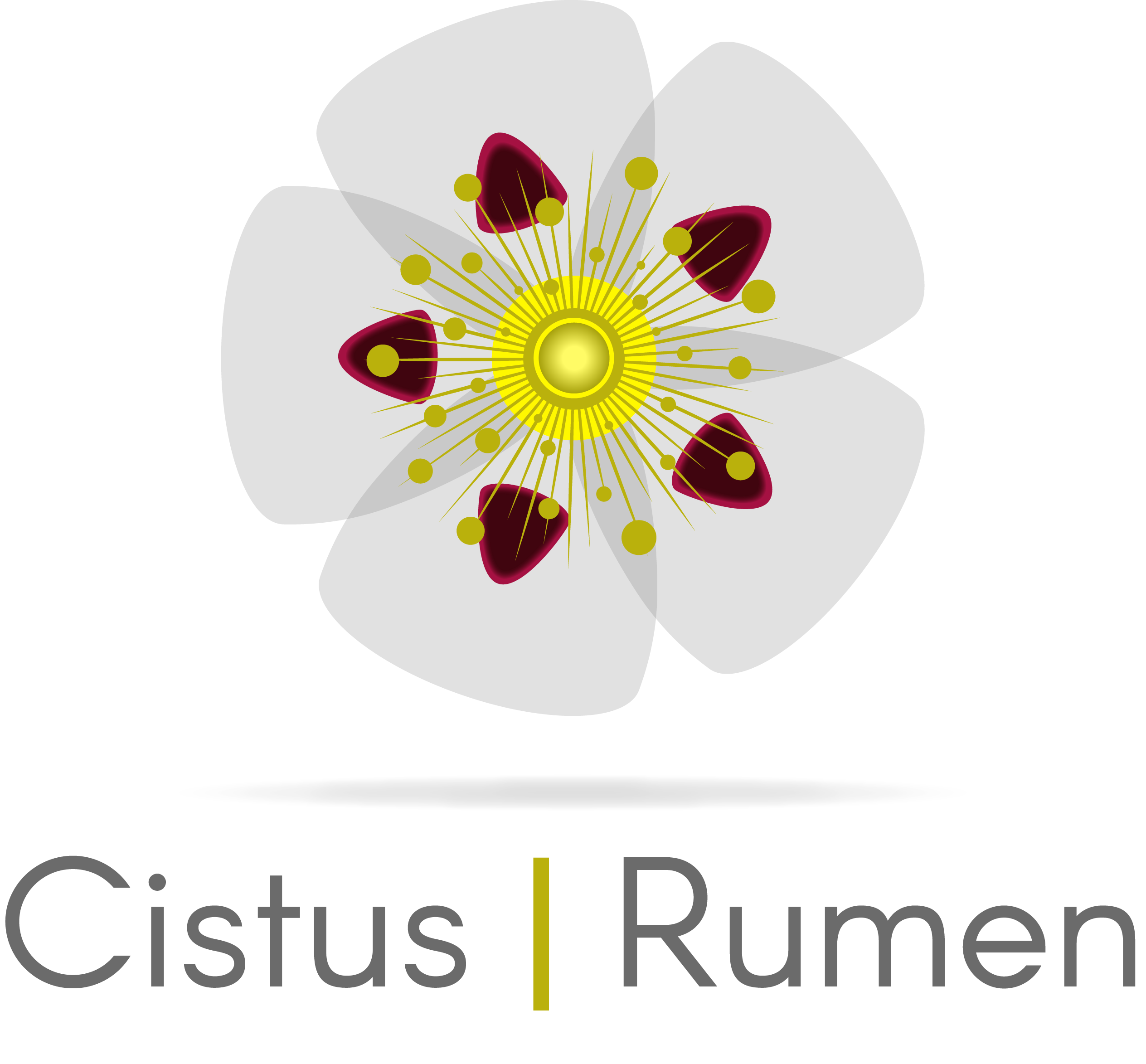 CistusRumen - Utilização sustentável de esteva (Cistus ... Imagem 1