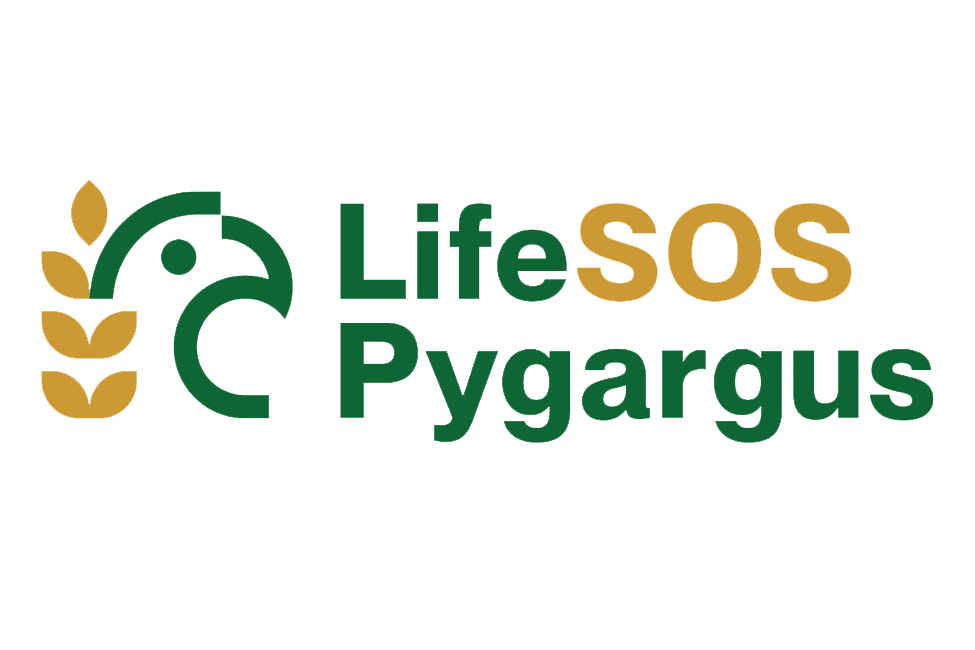 LIFE SOS Pygargus - Urgent conservation actions to sustain ... Imagem 1