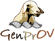 GenPrOv - Marcadores GENéticos para a PRodução e qualidade ... Imagem 1