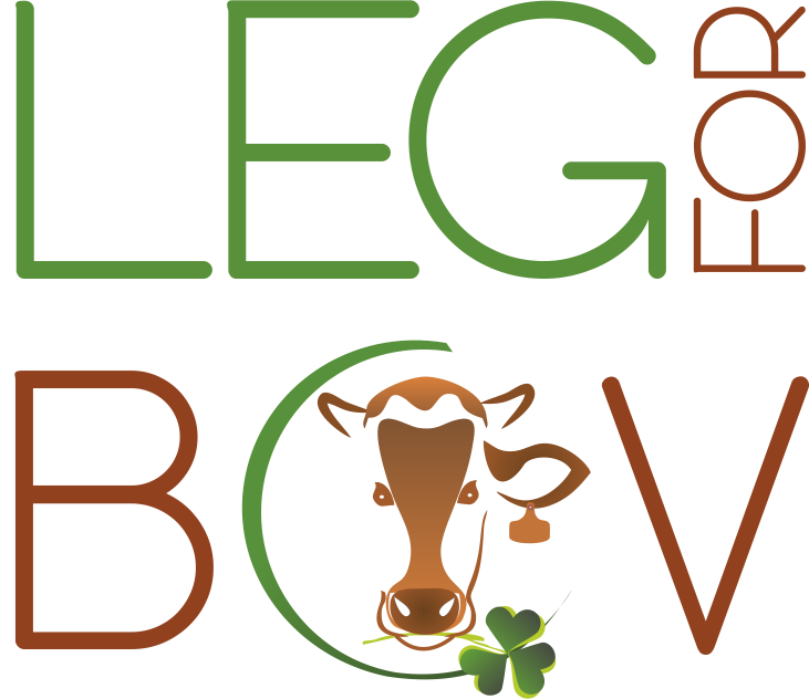 LegForBov- Alimentos alternativos na produção de carne de bo ... Imagem 1