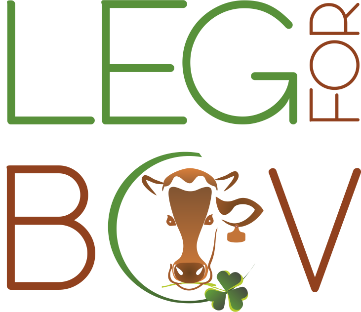 LegForBov- Alimentos alternativos na produção de carne de ... Imagem 1