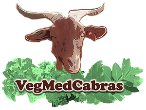 VegmedCabras - Vegetação Mediterrânica: anti-helmínticos ... Imagem 1