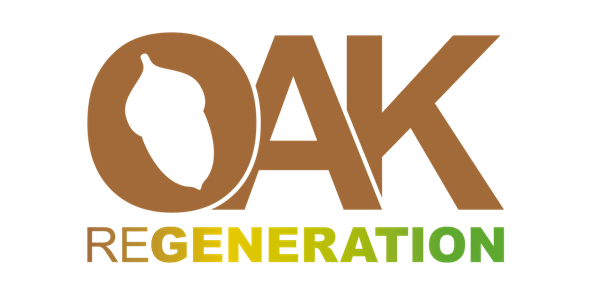 OakReGeneration Imagem 1