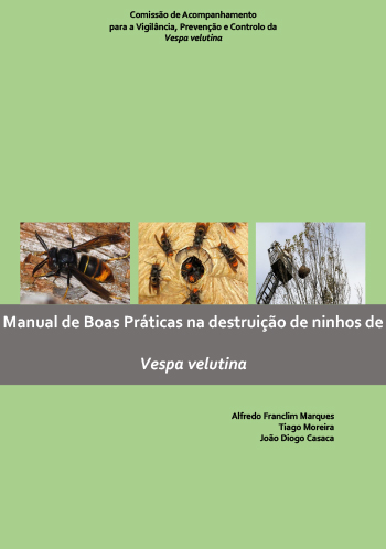 Manual de Boas Práticas para destruição de ninhos de Vespa velutina