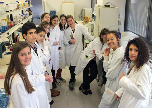 Cursos Image