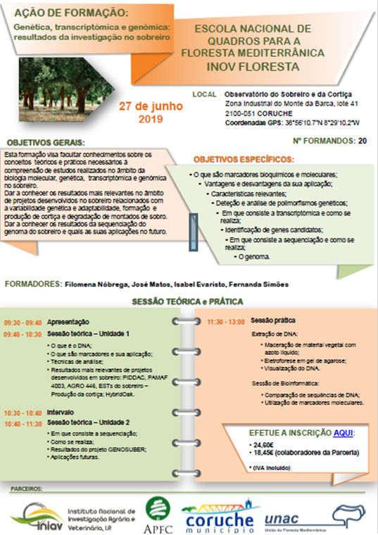 Ações de formação Image