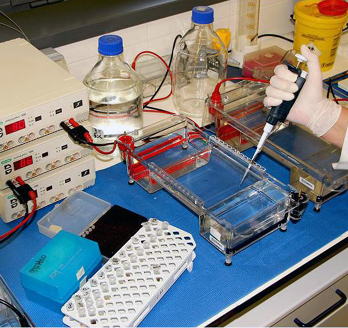 Laboratório de Bioquímica