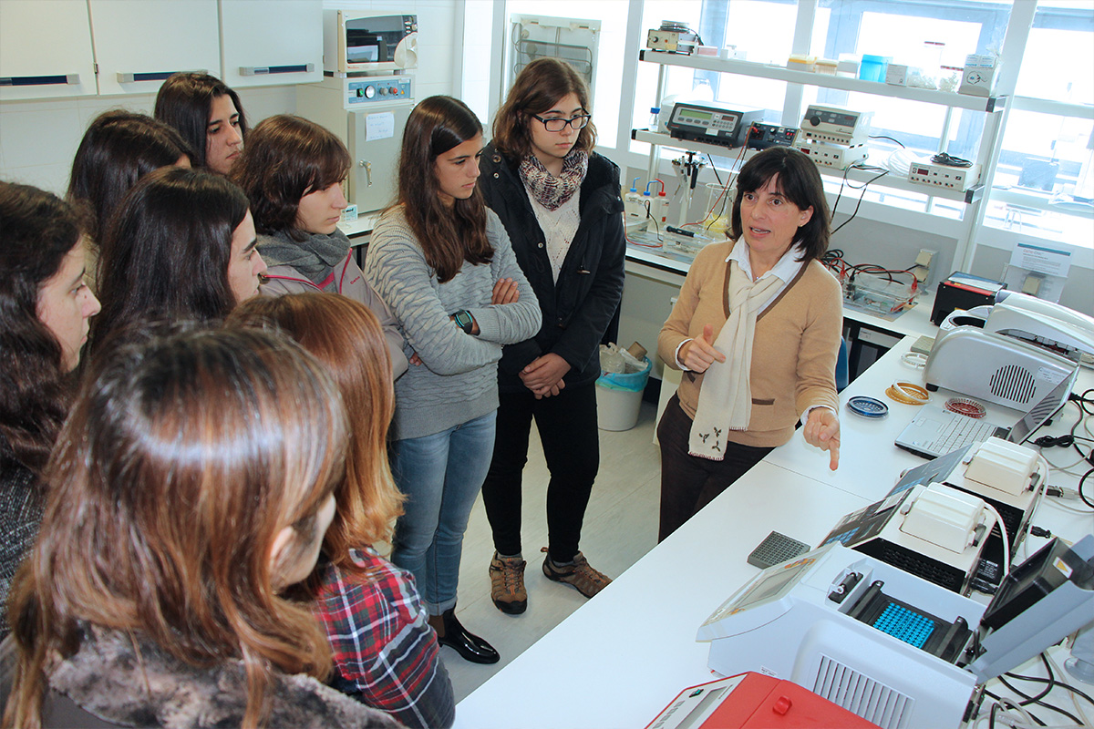 Laboratório OGM - Formação