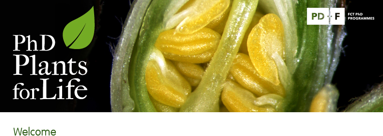 Candidaturas abertas para o Programa de Doutoramento Internacional em Biologia de Plantas! Candidaturas abertas para o Programa de Doutoramento Internacional em Biologia de Plantas!