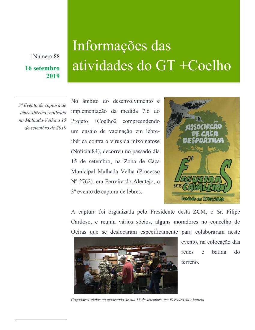 noticia 2 maiscoelho