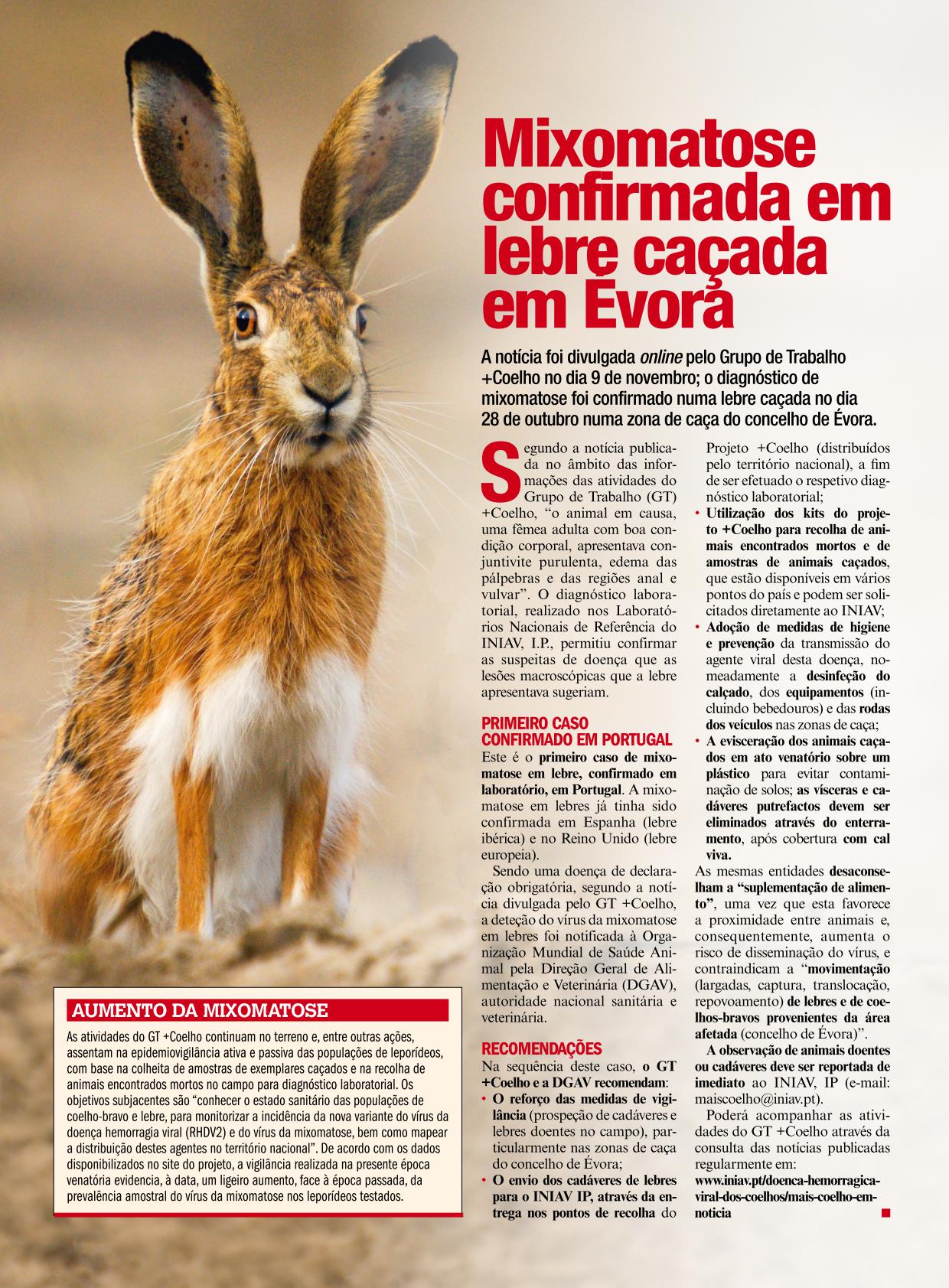 noticia 2 maiscoelho