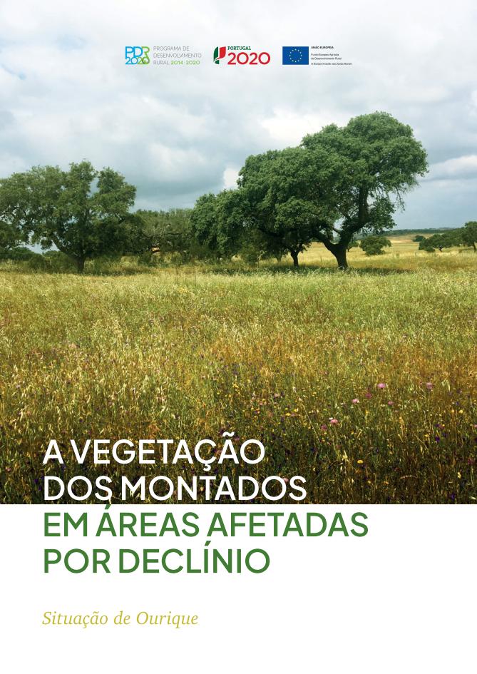 A Vegetacao dos Montados em Areas Afetadas por Declinio Situação de Ourique