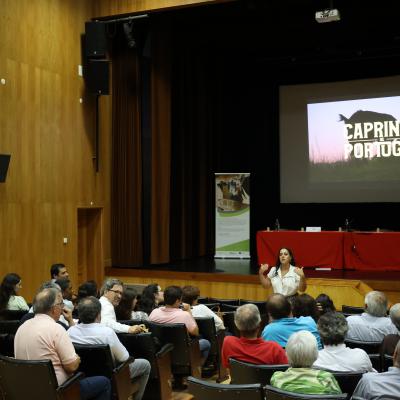 6 Apresentao Do Documentrio Caprinos De Portugal