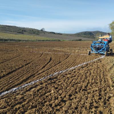 Cultivo De Variedades De Cereais No Polo De Inovao De Mirandela Da Ccdr N Dezembro De 2024 Foto Palombar