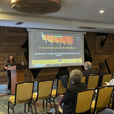 Conferencia Abertura