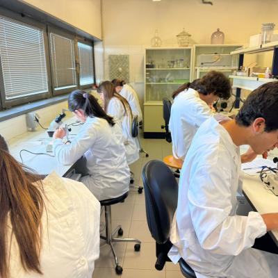Final Opbiologia1