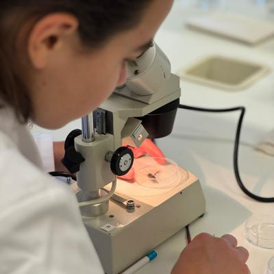 Final Opbiologia7