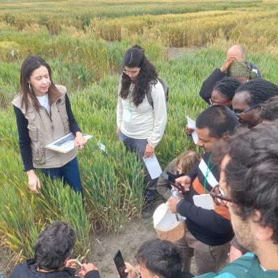 Summer School On Agroecology5